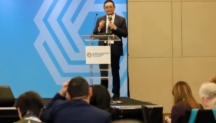Wakil Rektor RICD Bagikan Pengalaman UNAIR Bangun Dampak Global melalui Implementasi SDGs