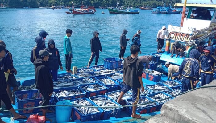 Hari Konservasi Alam Sedunia 2026: SALAM Dorong Sinergi Hexahelix demi Kelestarian Hutan, Laut, Transisi Energi dan Ketahanan Pangan