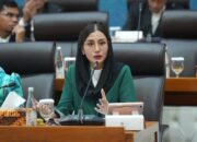 Novita Hardini: Pembekuan Saldo Seller TikTok Shop Bukti Negara Gagal Lindungi UMKM