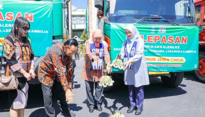Hilirisasi Perikanan Jawa Timur Kian Kuat, Ekspor 405 Ton Ikan Kaleng dari Banyuwangi Perluas Pasar Global