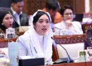 DPR Soroti Ketimpangan Regulasi Penyiaran, Cindy Monica Desak Transformasi KPI Hadapi Dominasi Platform Digital