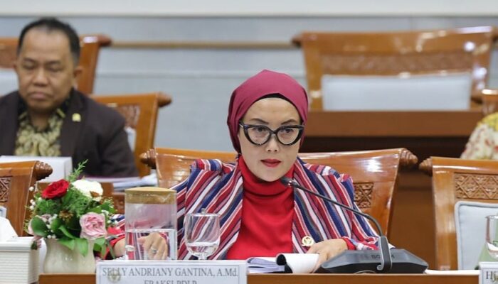 Selly: Serapan Anggaran Bansos Tinggi Tak Berguna Jika Salah Sasaran