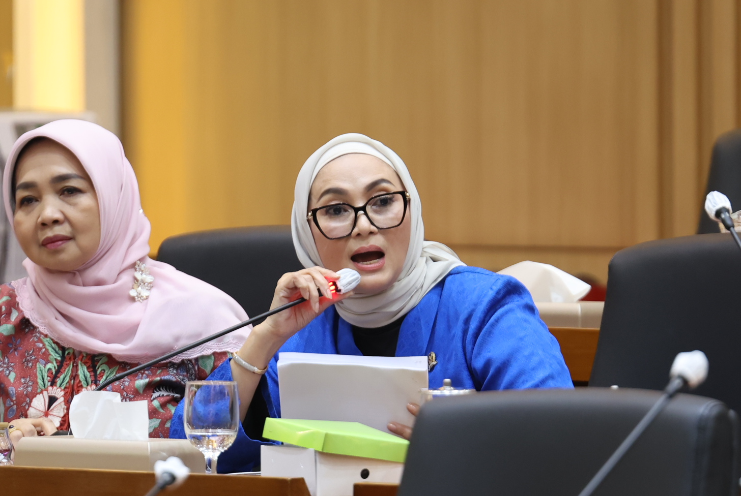 Lucy Kurniasari: Panja Tata Kelola MBG Dibutuhkan, Banyak Persoalan Harus Diungkap