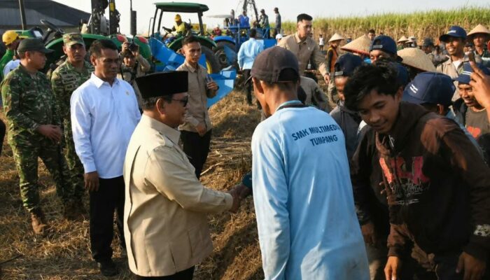 Prabowo Pimpin Panen Raya Tebu Nasional di Malang, Tegaskan Swasembada Gula dan Energi Jadi Prioritas