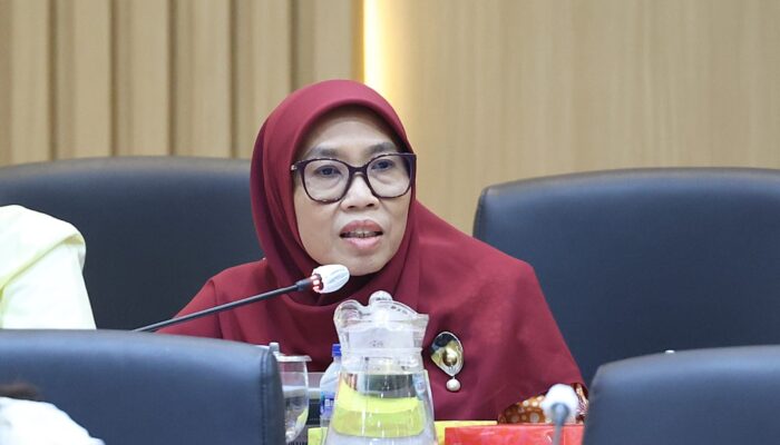 DPR Kritik Rendahnya Serapan Anggaran Kesehatan Primer, Baru Terserap 38,7 Persen