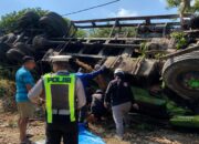 Diduga Rem Blong, Truk Tangki Tetes Tebu Terguling di Jalibar Kepanjen, Sopir Tewas Terjepit di Kabin