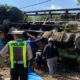 Diduga Rem Blong, Truk Tangki Tetes Tebu Terguling di Jalibar Kepanjen