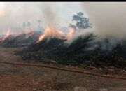 Gudang Kayu Terbakar Hebat di Kepanjen, Penyebab dan Kerugian Masih Menunggu Keterangan Resmi