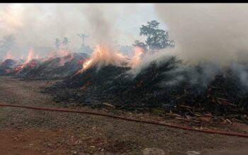 Gudang Kayu Terbakar Hebat di Kepanjen, Penyebab dan Kerugian Masih Menunggu Keterangan Resmi