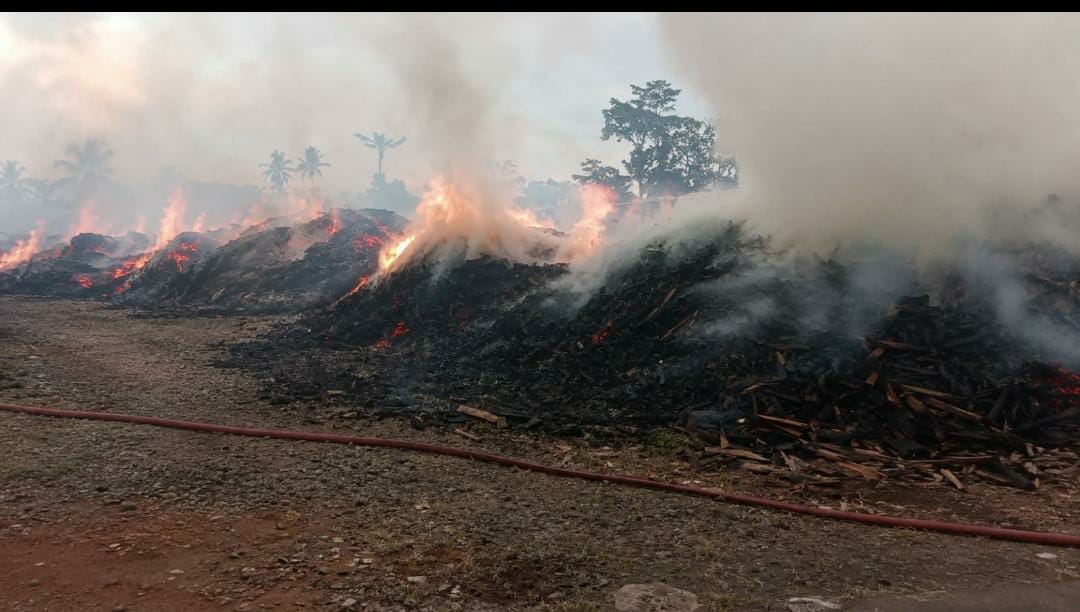 Gudang Kayu Terbakar Hebat di Kepanjen, Penyebab dan Kerugian Masih Menunggu Keterangan Resmi