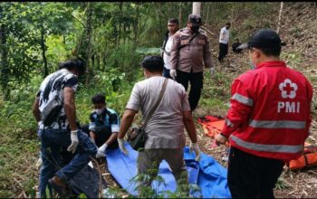 Nenek Pencari Kayu Bakar Ditemukan Meninggal di Lereng Gunung Tumpeng, Polisi Pastikan Tak Ada Tanda Kekerasan