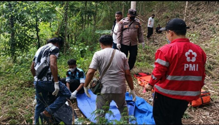 Nenek Pencari Kayu Bakar Ditemukan Meninggal di Lereng Gunung Tumpeng, Polisi Pastikan Tak Ada Tanda Kekerasan