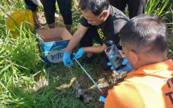 Petani Temukan Mayat Bayi Membusuk di Irigasi Sawah Bululawang
