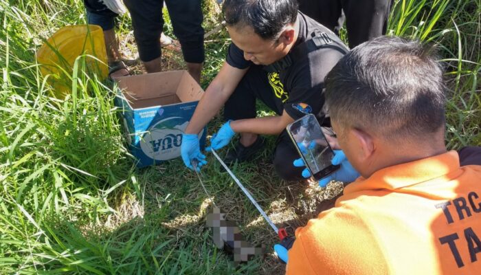 Petani Temukan Mayat Bayi Membusuk di Irigasi Sawah Bululawang