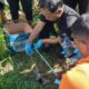 Petani Temukan Mayat Bayi Membusuk di Irigasi Sawah Bululawang