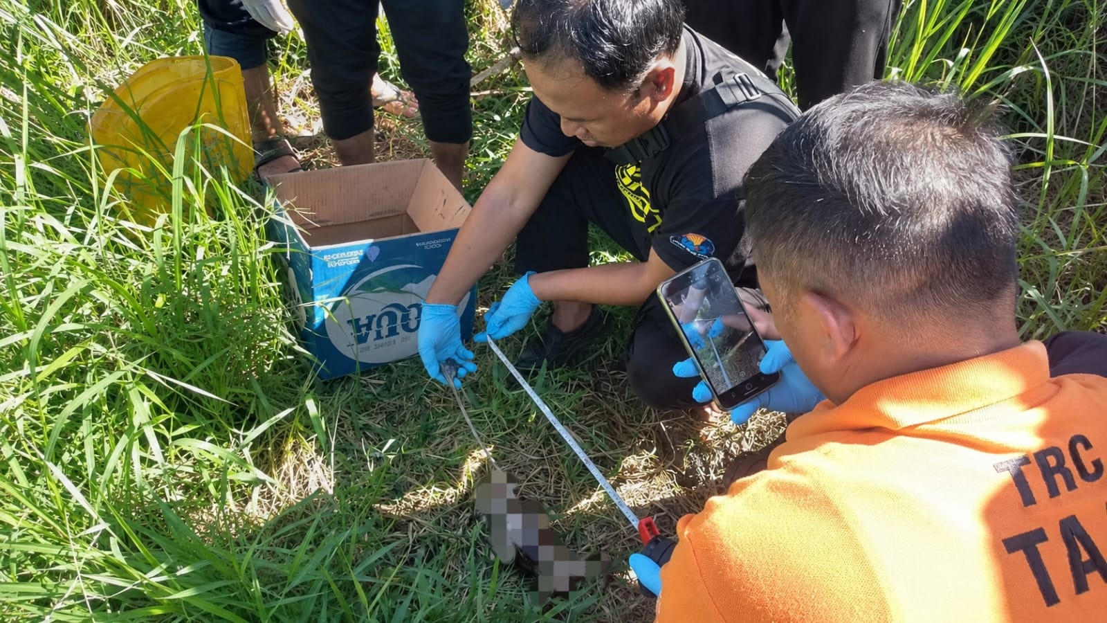 Petani Temukan Mayat Bayi Membusuk di Irigasi Sawah Bululawang