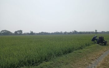 LP2B Jombang Segera Ditetapkan, Luasan Lahan Pertanian Dikunci ATR/BPN