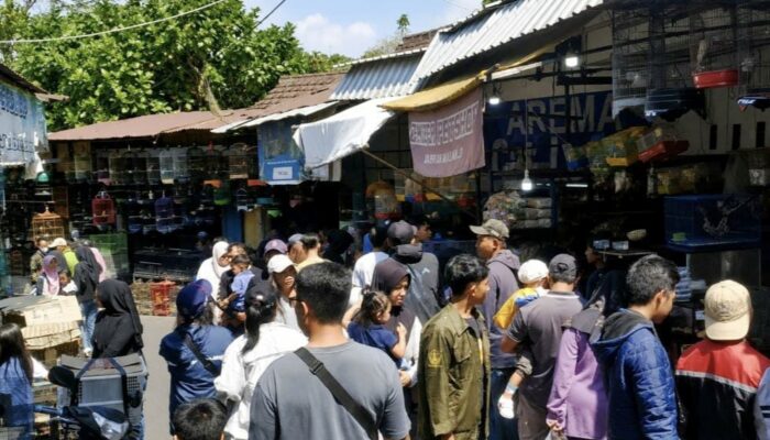 Legenda Pasar Senggol Kota Malang Masih Hidup, Kini Berdenyut di Ramainya Pasar Burung Splendid