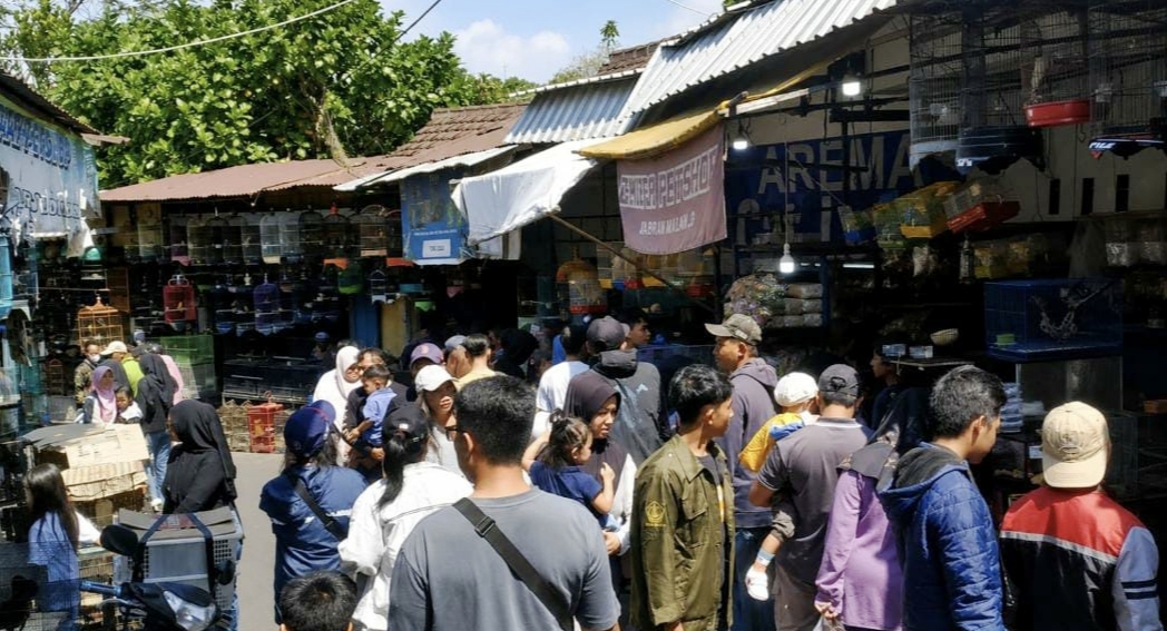Legenda Pasar Senggol Kota Malang Masih Hidup, Kini Berdenyut di Ramainya Pasar Burung Splendid