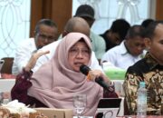 Anis Byarwati Sampaikan Daerah Kepulauan Belum Rasakan Kehadiran Negara dari Sisi Fiskal