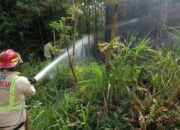 Api Nyaris Merembet ke Pabrik Biji Plastik, Damkar Kabupaten Malang Padamkan Kebakaran Lahan Bambu di Pakis