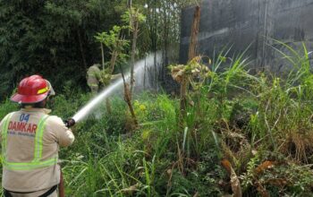 Api Nyaris Merembet ke Pabrik Biji Plastik, Damkar Kabupaten Malang Padamkan Kebakaran Lahan Bambu di Pakis