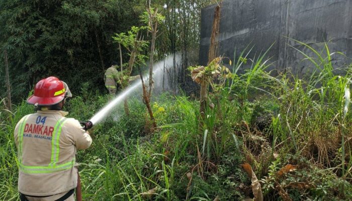 Api Nyaris Merembet ke Pabrik Biji Plastik, Damkar Kabupaten Malang Padamkan Kebakaran Lahan Bambu di Pakis