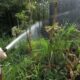 Api Nyaris Merembet ke Pabrik Biji Plastik, Damkar Kabupaten Malang Padamkan Kebakaran Lahan Bambu di Pakis