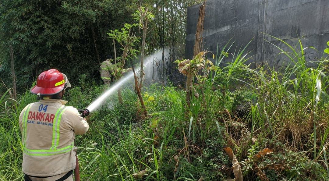 Api Nyaris Merembet ke Pabrik Biji Plastik, Damkar Kabupaten Malang Padamkan Kebakaran Lahan Bambu di Pakis