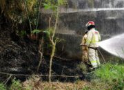 Antisipasi Kebakaran Lahan, Damkar Kabupaten Malang Gencarkan Edukasi dan Pelaporan Darurat 24 Jam