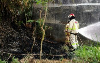Antisipasi Kebakaran Lahan, Damkar Kabupaten Malang Gencarkan Edukasi dan Pelaporan Darurat 24 Jam