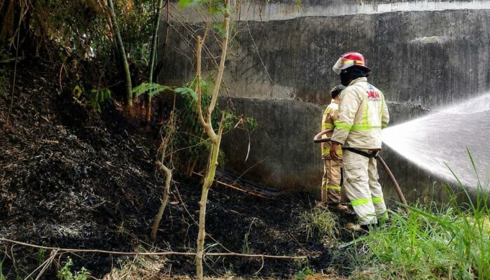 Antisipasi Kebakaran Lahan, Damkar Kabupaten Malang Gencarkan Edukasi dan Pelaporan Darurat 24 Jam