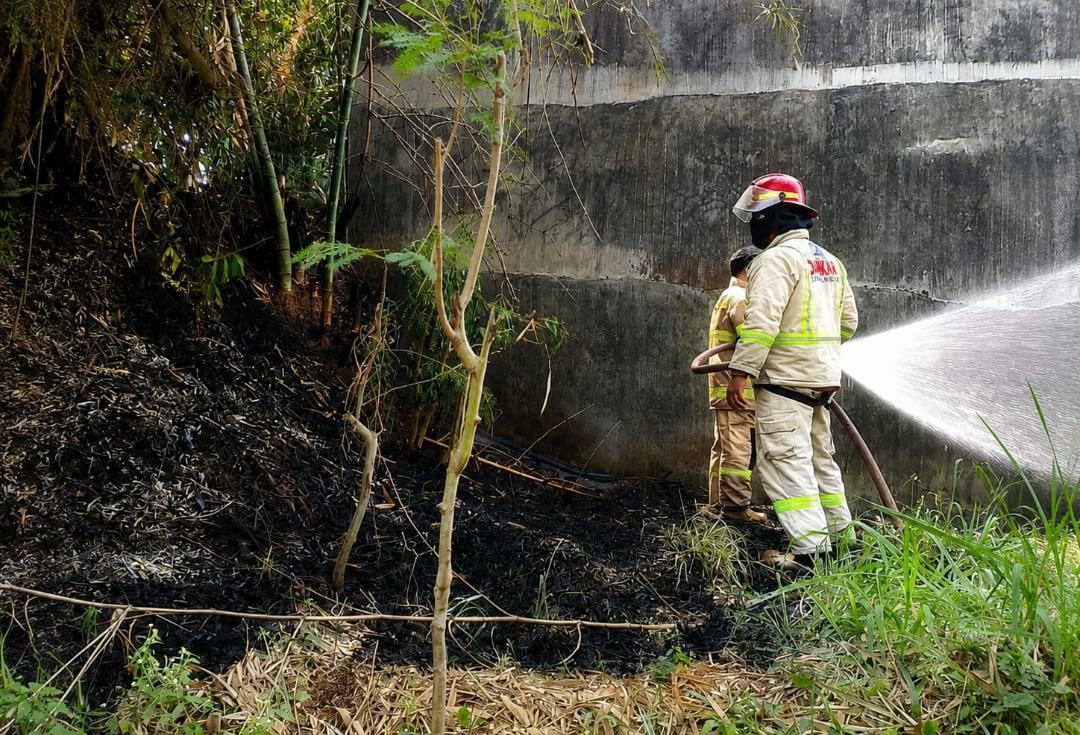 Antisipasi Kebakaran Lahan, Damkar Kabupaten Malang Gencarkan Edukasi dan Pelaporan Darurat 24 Jam