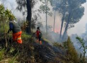 Angin Kencang dan Ilalang Kering Picu Karhutla Meluas, Watu Gede Ngadas Jadi Titik Kritis