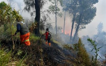 Angin Kencang dan Ilalang Kering Picu Karhutla Meluas, Watu Gede Ngadas Jadi Titik Kritis