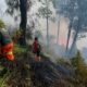 Angin Kencang dan Ilalang Kering Picu Karhutla Meluas, Watu Gede Ngadas Jadi Titik Kritis