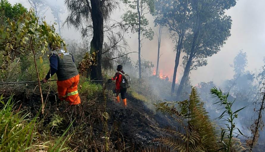 Angin Kencang dan Ilalang Kering Picu Karhutla Meluas, Watu Gede Ngadas Jadi Titik Kritis