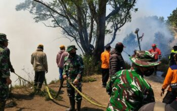 Karhutla TNBTS Meluas, Pos Jemplang Ngadas Masuk Zona Waspada