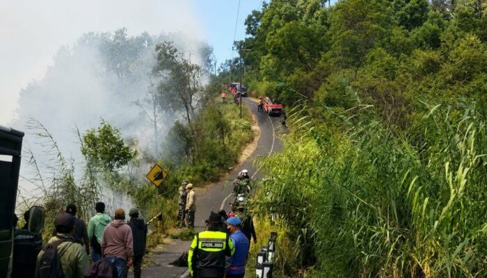 Karhutla TNBTS Belum Terkendali, Jatim Andalkan Water Bombing BNPB Mulai Besok