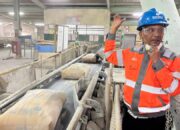 Produksi Semen SBA Naik 35 Persen, Azhari Cage Heran Aceh Masih Dilanda Kelangkaan