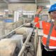 Produksi Semen SBA Naik 35 Persen, Azhari Cage Heran Aceh Masih Dilanda Kelangkaan