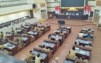 APDESI dan PKDI Minta Bupati Cepat Realisasikan PJU dan Perbaikan