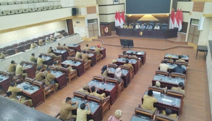 APDESI dan PKDI Minta Bupati Cepat Realisasikan PJU dan Perbaikan
