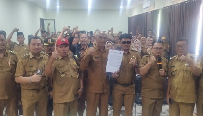 Pj Sekda Fauzi Nyatakan Belasan Ribu Titik PJU Bakal Terpasang Tahun 2027