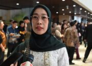 Komisi VI Soroti Separuh BUMN dan Anak Usaha Tak Sehat, Danantara Didesak Tak Sekadar Pangkas Entitas