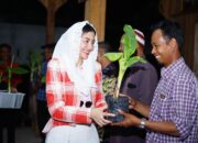 Novita Hardini: Pisang Cavendish Bisa Jadi Pintu Kebangkitan Ekonomi Ponorogo