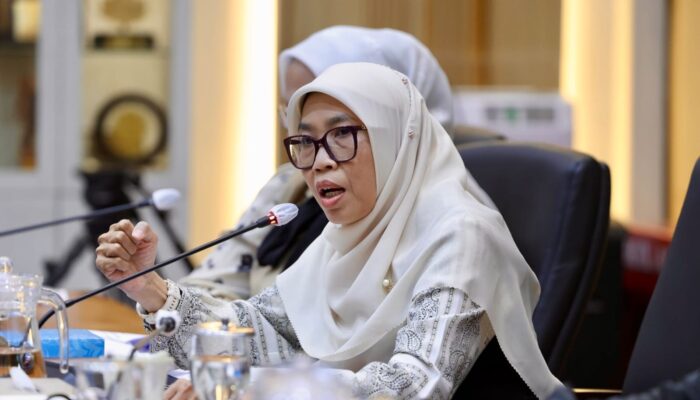 Kemenkes Skrining 10.564 Dokter Internsip, Netty: Jangan Hanya Periksa Dokternya, Evaluasi Sistemnya