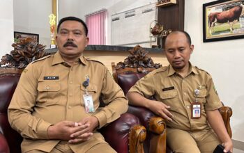 Ayam Kampung Jadi Potensi Baru Blora, DP4 Gandeng UGM Siapkan Pengembangan Peternak