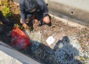 Ribuan Jarum Suntik Bekas Ditemukan Berserakan di Saluran Air Exit Tol Juanda Sidoarjo, Diduga Berasal dari RS di Surabaya