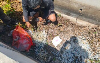 Ribuan Jarum Suntik Bekas Ditemukan Berserakan di Saluran Air Exit Tol Juanda Sidoarjo, Diduga Berasal dari RS di Surabaya